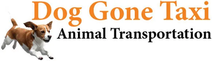 Dog Gone Taxi