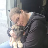 Buckeye Dog Hauling/Pet Transportation