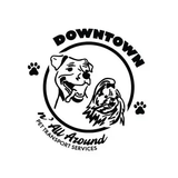 Downtown and All Around Pet Transport