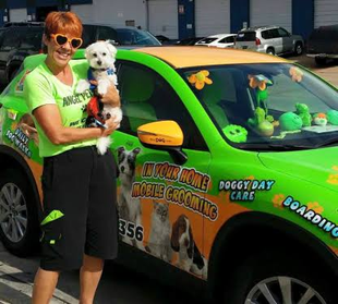 Pet Travel Agents Shipping and Recieving Service