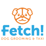 Fetch Pet Services