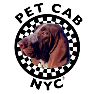 Pet Cab NYC