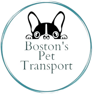 Boston's Pet Transport